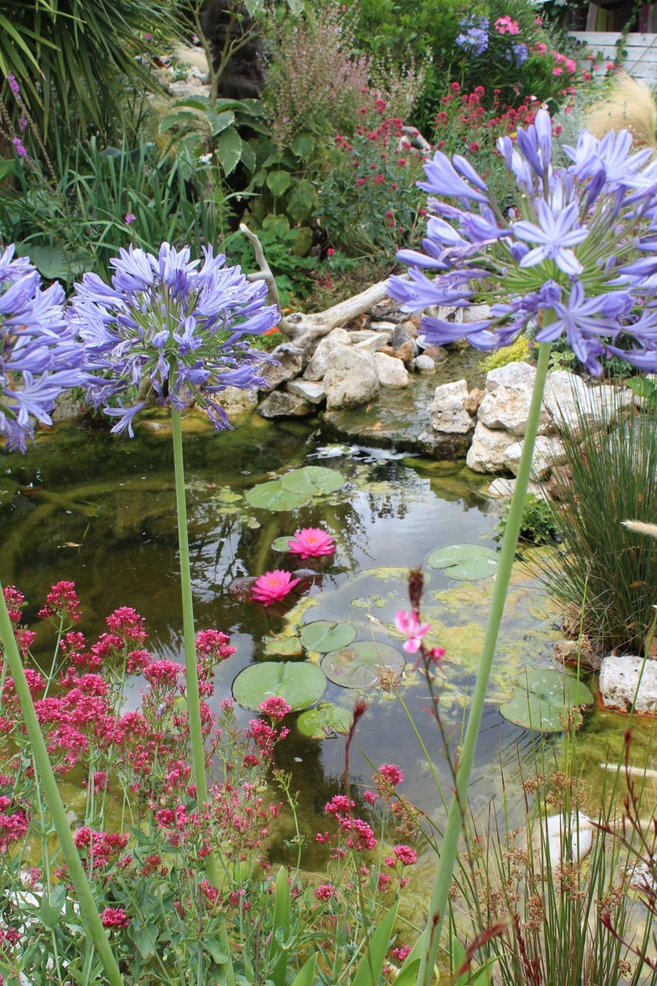 La Douce Charentaise Bed and Breakfast Mérignac Eksteriør billede